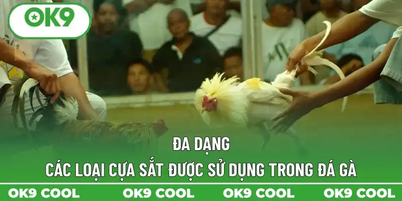 Đa dạng các loại cựa sắt được sử dụng trong đá gà